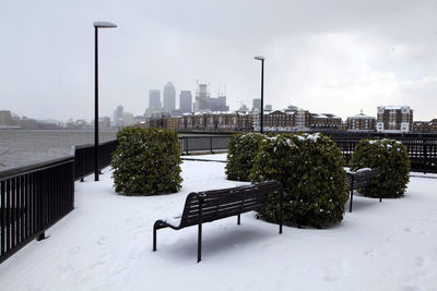 Park in city during winter