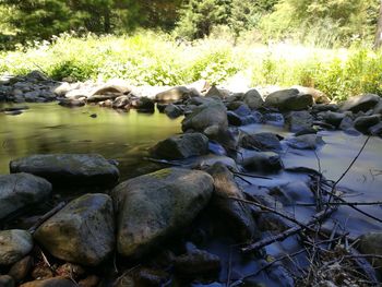 Rocks in lake