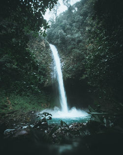 Scenic view of waterfall falling from mountain in forest