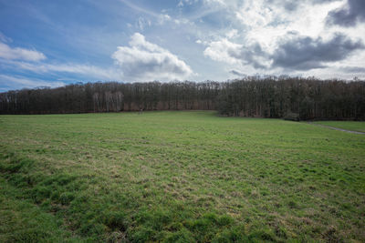 Scenic view of field against sky