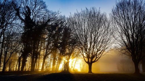 Silhouette bare trees on landscape against sky during sunset