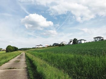 Scenic view of agricultural field against sky