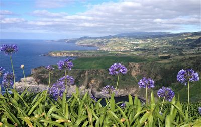 Beautiful view from the azores