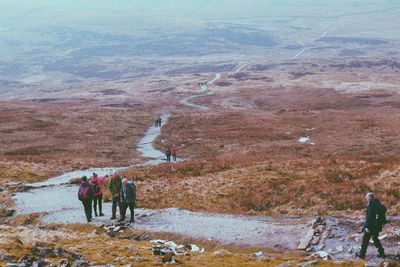 Scenic view of landscape
