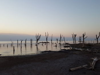 Scenic view of beach against sky during sunset