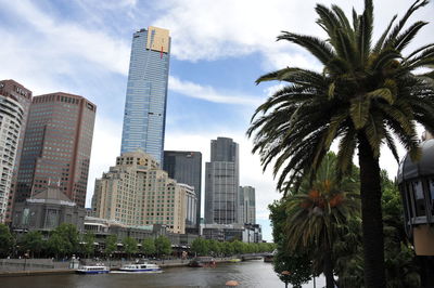 Palm trees by modern buildings against sky in city
