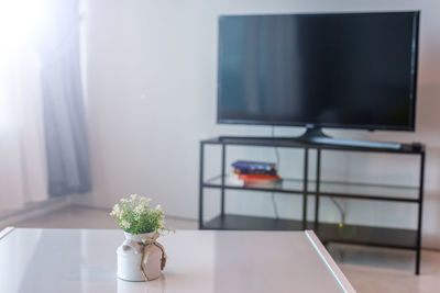 Television and flower vase in living room at home