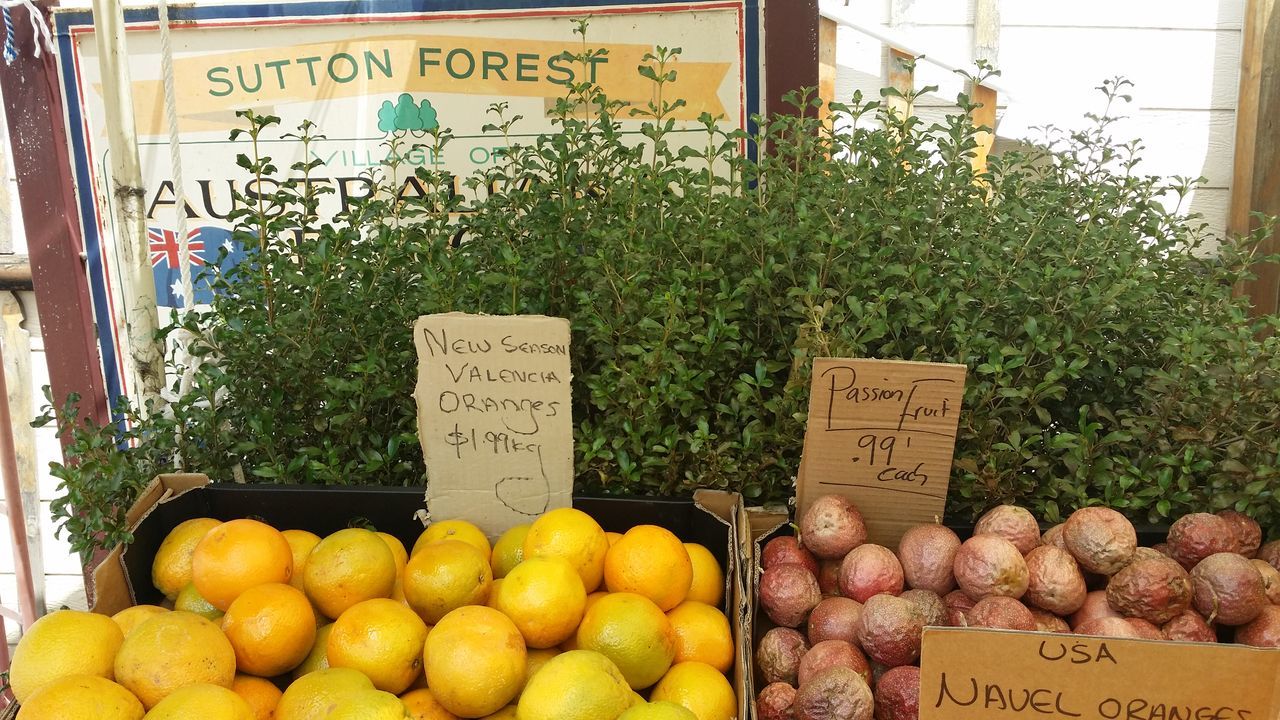 retail, fruit, healthy eating, text, freshness, variation, market, outdoors, business finance and industry, no people, food, price tag, close-up, day