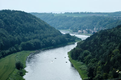 High angle view of river amidst trees in forest