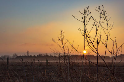 Scenic view of sunset