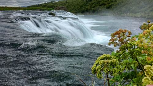 Scenic view of waterfall in forest