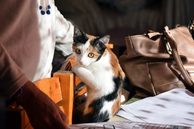 Cat sitting on paper