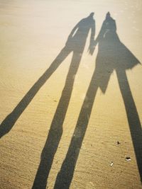 Shadow of couple on road