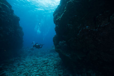 Scuba divers swimming in sea