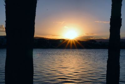 Close-up of silhouette tree by lake against sky during sunset