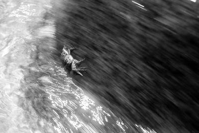Blurred motion of person jumping in water