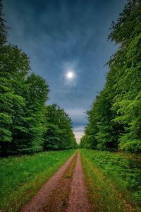 Road amidst trees on field against sky