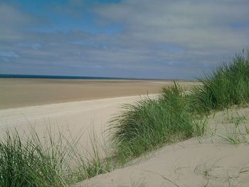 Scenic view of beach against sky