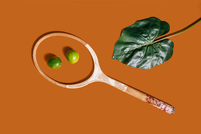 Directly above shot of green chili pepper against orange background