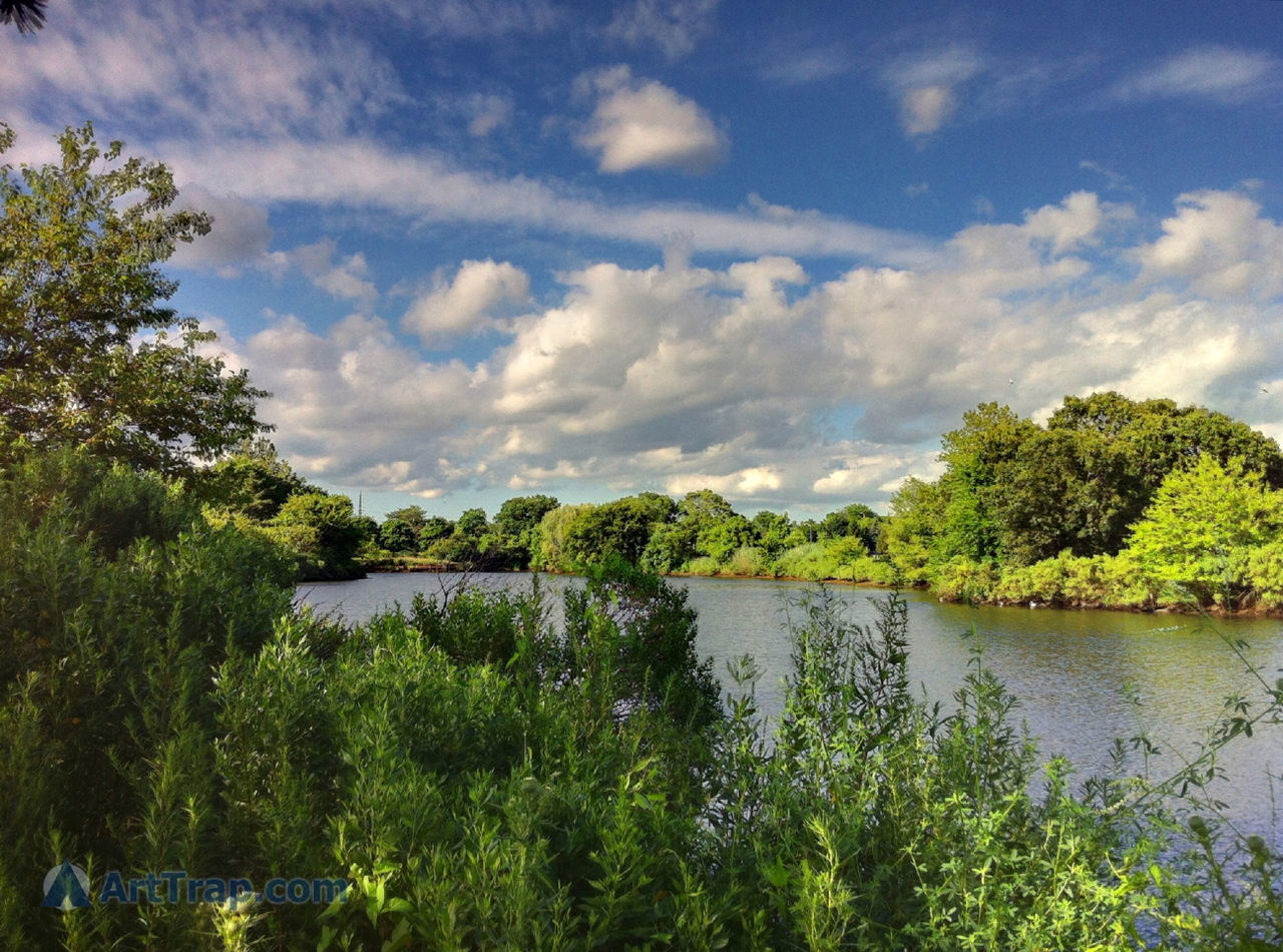 tree, water, sky, tranquil scene, tranquility, scenics, cloud - sky, beauty in nature, lake, nature, cloudy, cloud, growth, green color, river, idyllic, reflection, day, plant, lush foliage