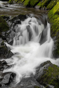 Scenic view of waterfall in forest