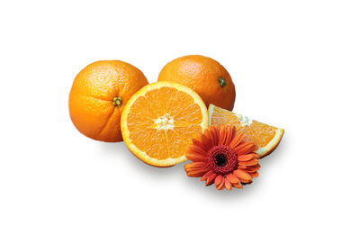 High angle view of orange fruit against white background