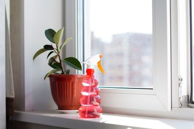 Close-up of potted plant and spray bottle by window