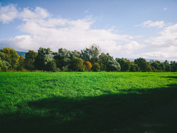 Scenic view of field against sky