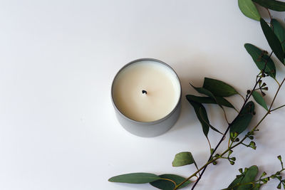 High angle view of lemon and leaves on white table