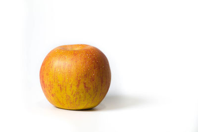 Close-up of orange against white background