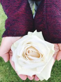 Close-up of woman hand holding flower