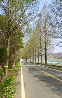 Road amidst trees against sky