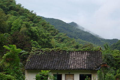 House and trees on mountain against sky