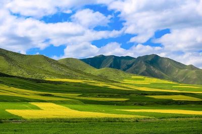 Scenic view of landscape against cloudy sky