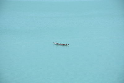 Aerial view of people traveling in boat on sea