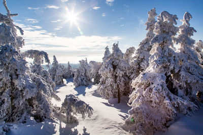 Scenic view of snow covered land against sky