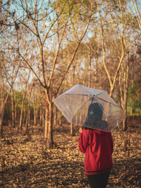 Rear view of woman with umbrella in forest during rainy season