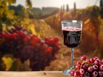 Close-up of wineglass on table