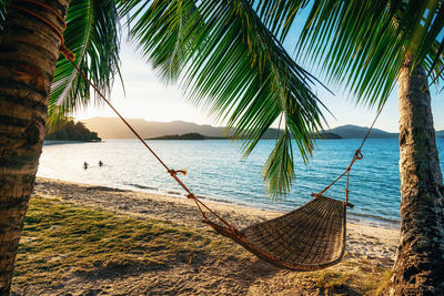 Empty hammock between two palm trees on beach at sunset. silhouette of couple in background in sea. 