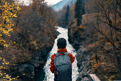 Rear view of man looking at forest