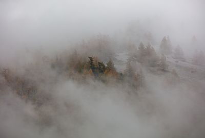 fog