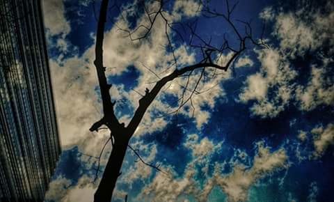 Low angle view of cloudy sky