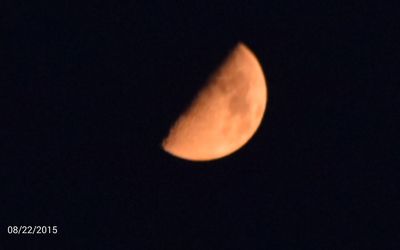 Low angle view of moon in sky