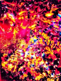 Full frame shot of illuminated orange flower