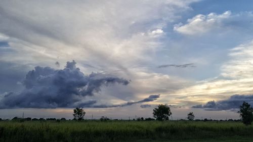 Scenic view of field against sky