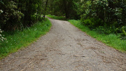 Road passing through a field