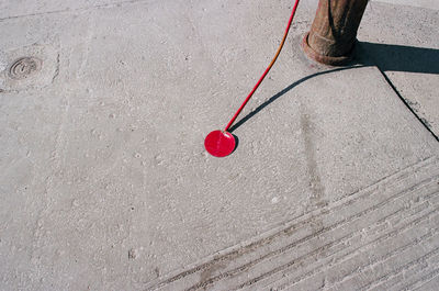 Close-up of red cherries