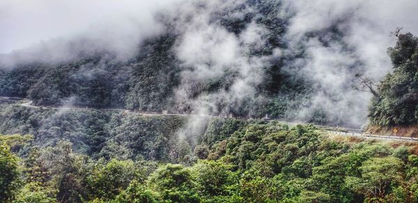 Scenic view of waterfall in forest