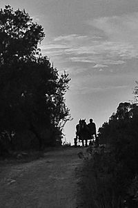 Woman standing on landscape
