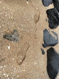 High angle view of pebbles